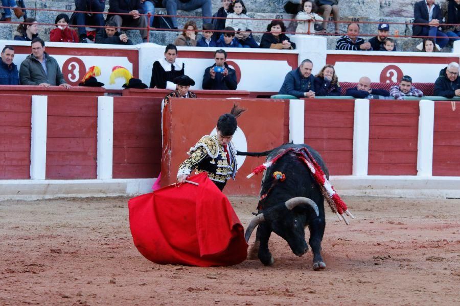 Tarde de toros en Zamora