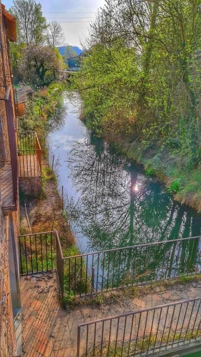 Reflexes de natura a Cardona.