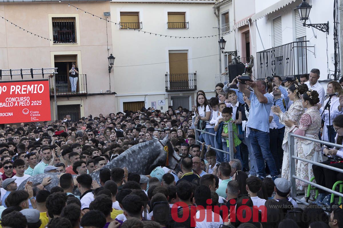 Fiestas de Caravaca | Entrega de premios del concurso morfológico