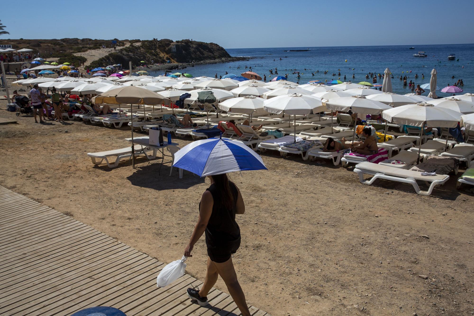 Tabarca, al 100% este verano