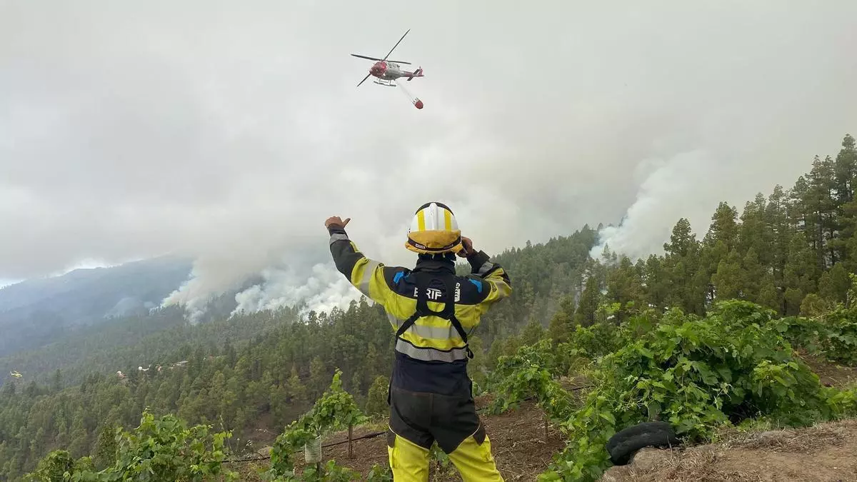 Los medios del incendio de La Palma se centran en el flanco de La Caldera