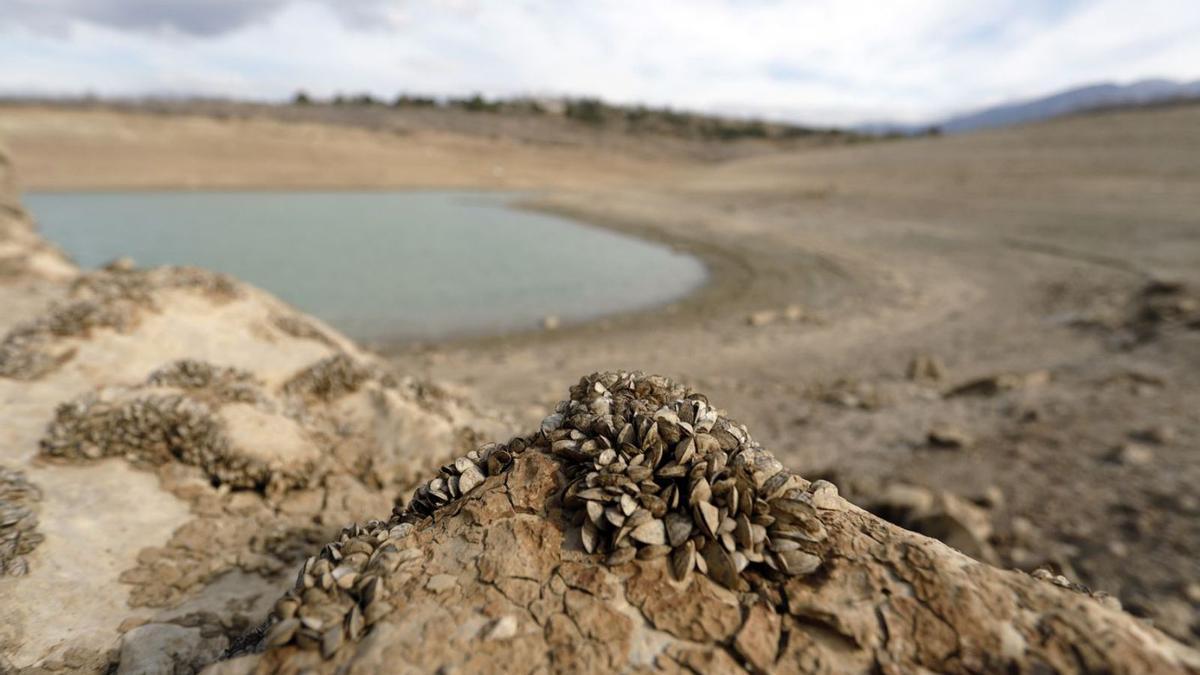 El embalse de La Viñuela, en una situación límite.