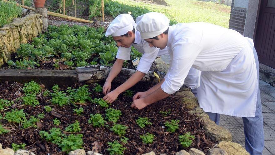 Alumnos del CIFP Carlos Oroza cultivan la huerta ecológica del centro