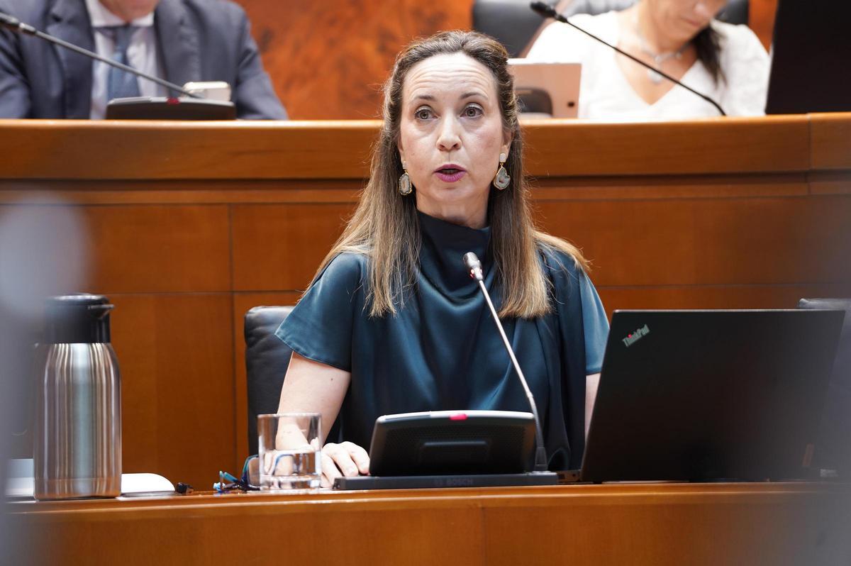 La directora general de Logística y Ordenación del Territorio, Raquel Campos, este martes en las Cortes.