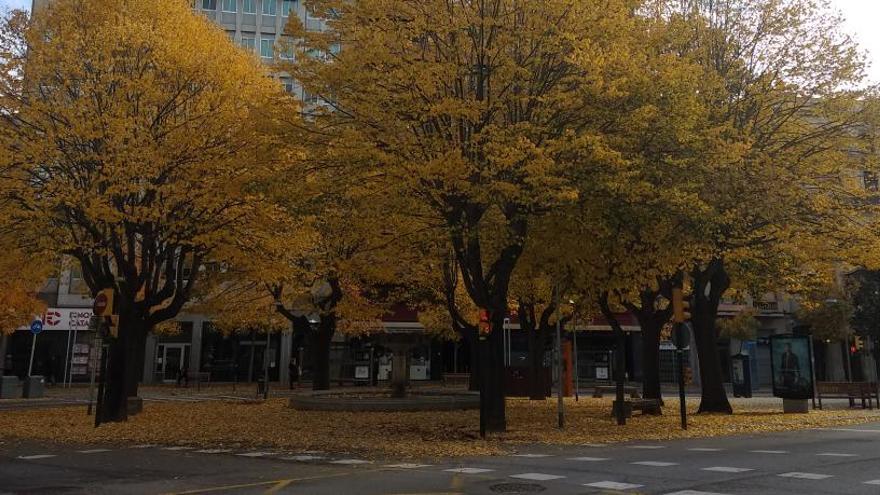 La plaça Marquès de Camps plena de fulles a terra.