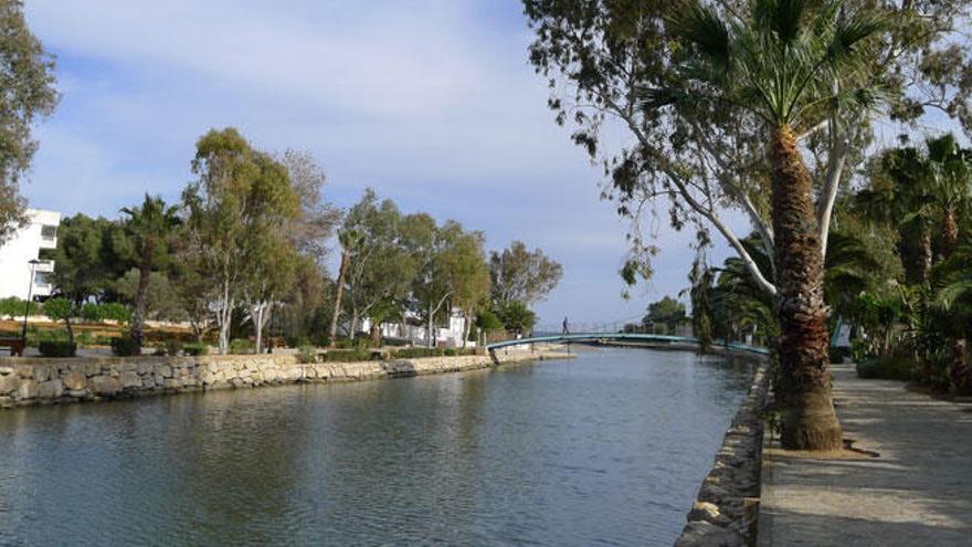 Los escolares de hoy ya no escuchan el murmullo del agua entre los pinos