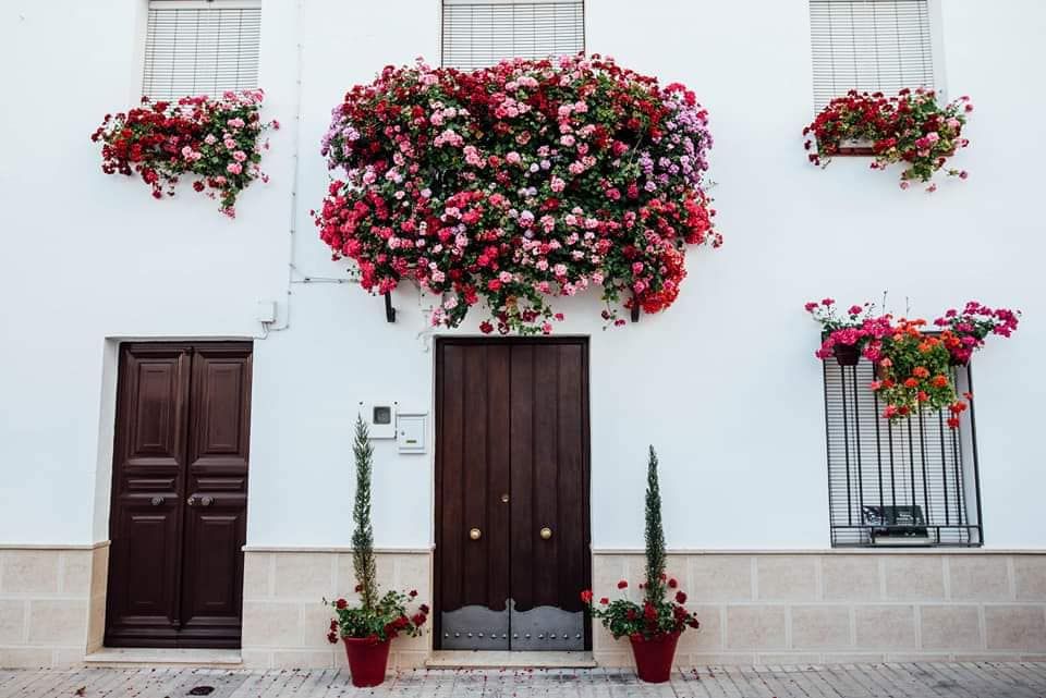 Los vecinos de Cañete de las Torres decoran sus casas con adornos floreles