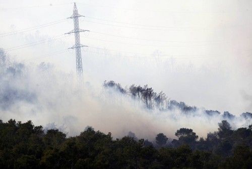 Incendi forestal a peu de les Gavarres