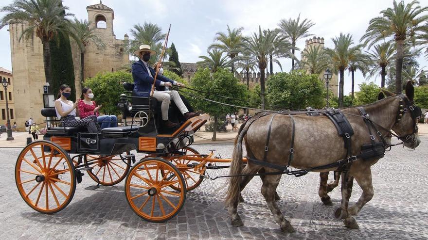 Un coche de caballos pasa junto al Alcázar de los Reyes Cristianos.