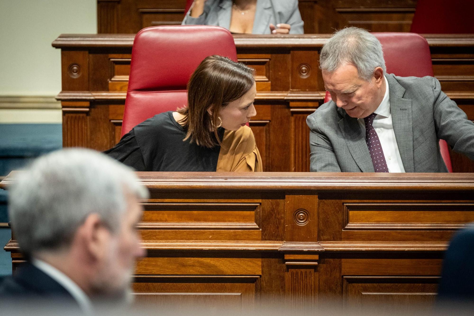 Pleno del Parlamento de Canairas (30/04/25)