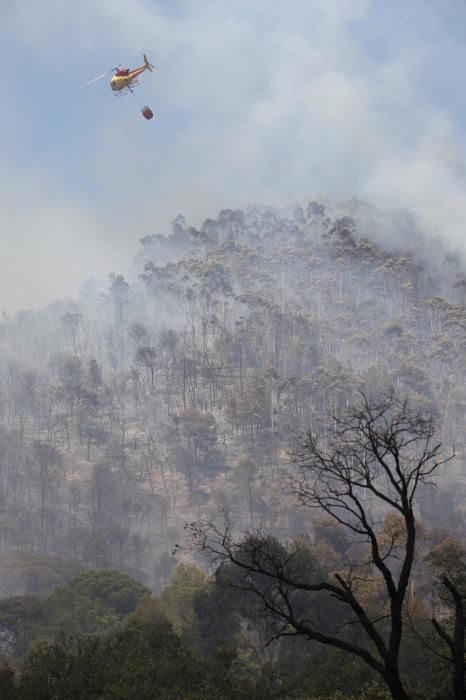 Incendi forestal a Blanes