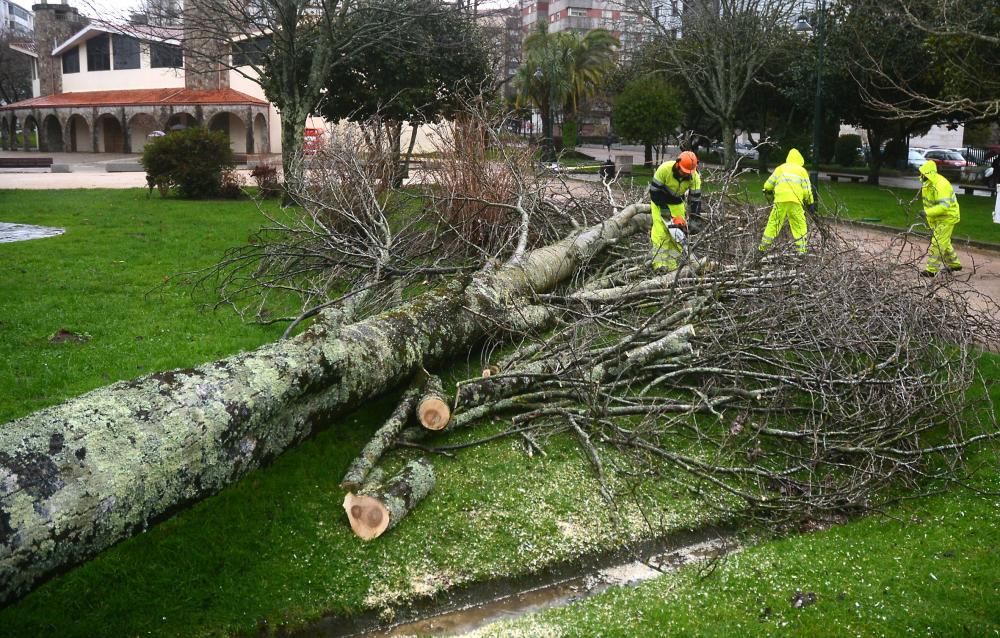 Temporal en Pontevedra