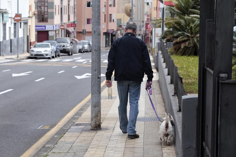 Reportaje: Gente con mascotas