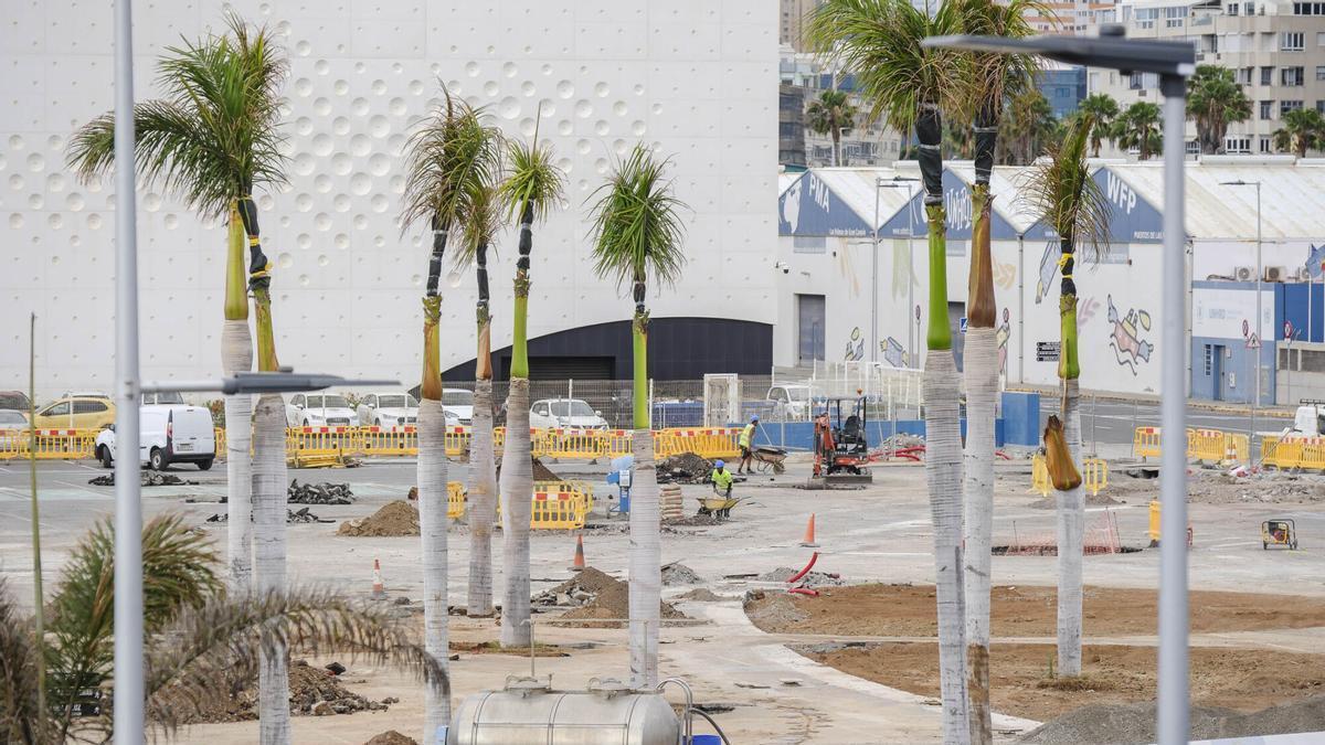 Obras del parque urbano del Puerto de Las Palmas