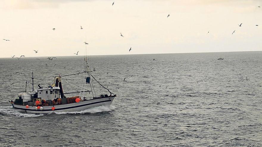 La flota arrastrera faena en la costa protegida entre Cabo Roig y Guardamar sin control