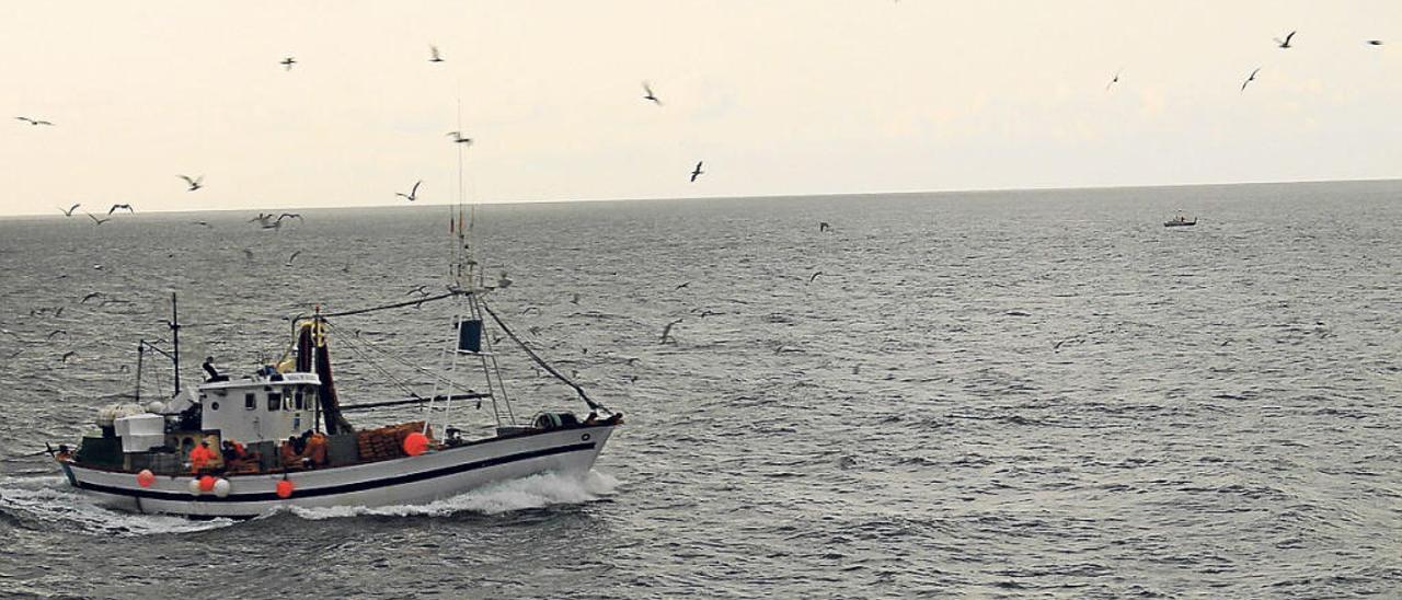La flota arrastrera faena en la costa protegida entre Cabo Roig y Guardamar sin control