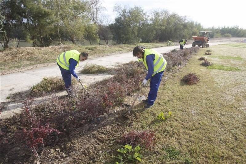 Labores de limpieza en el río Guadalquivir