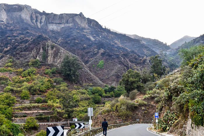 Vistas de las laderas del barranco de La Mina ...