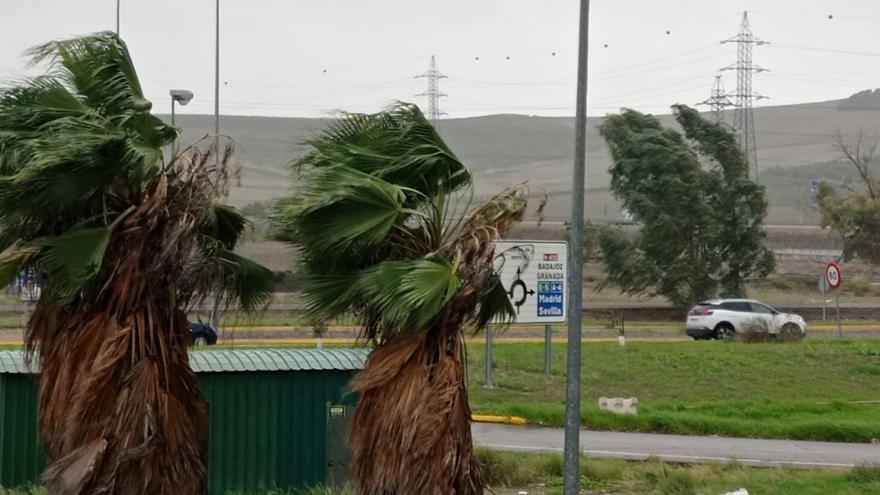 Córdoba registra una veintena de incidencias y el vuelco de un todoterreno por culpa de Nelson