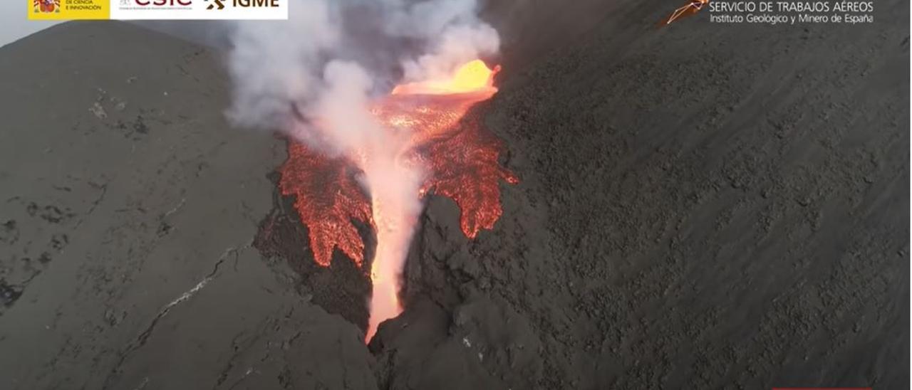 Las huellas de los animales en las cenizas del volcán