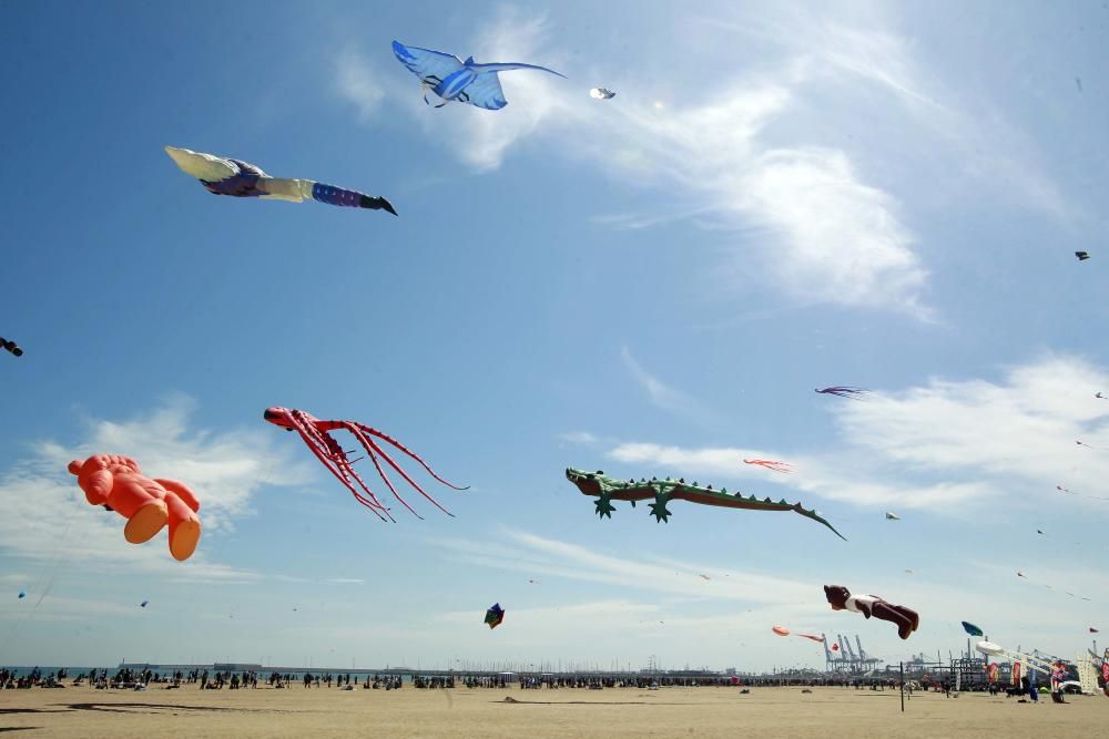 Festival del Viento 2016 en la Malva-rosa