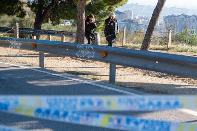 Расследуют возможный источник африканской чумы свиней