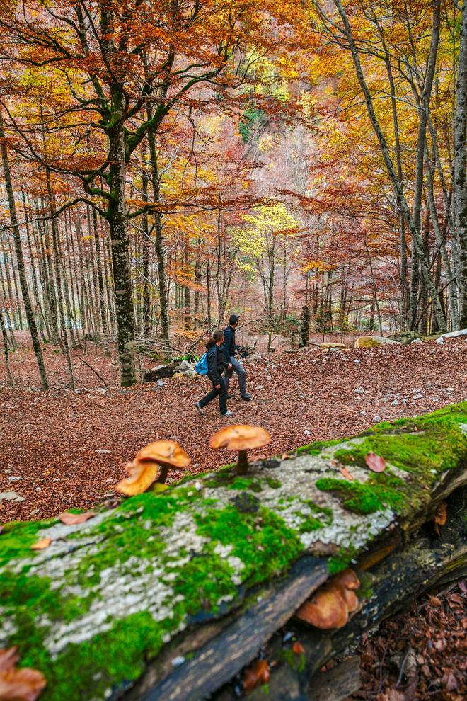 Ordesa: el corazon de los pirineos