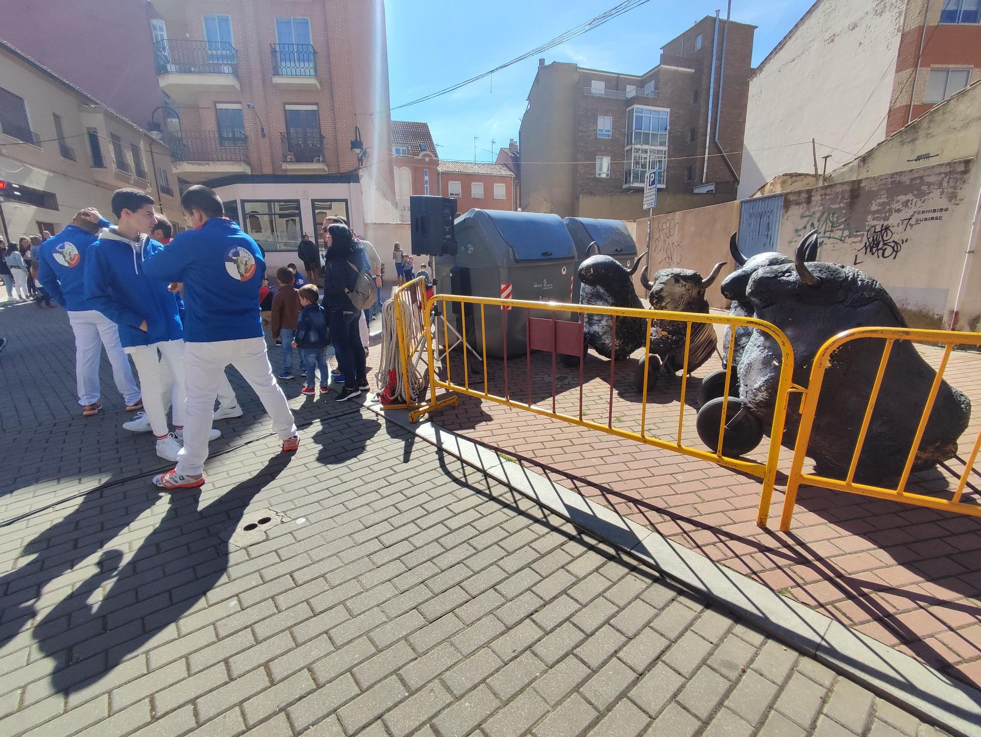 Imperioso, el carretón gigante de la Escuelas Taurinas de Benavente