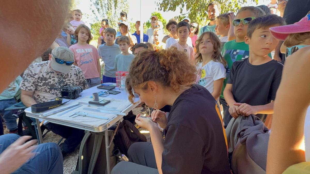 La Gran jornada lúdica del 10º aniversario del Parque La Marjal, en imágenes