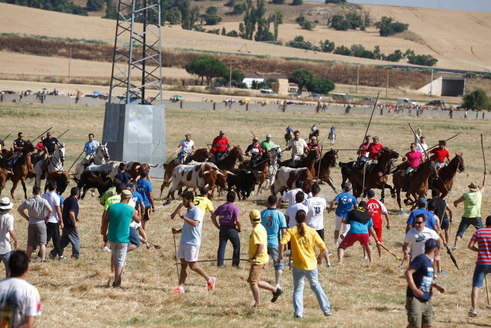 Espantes de Fuentesaúco