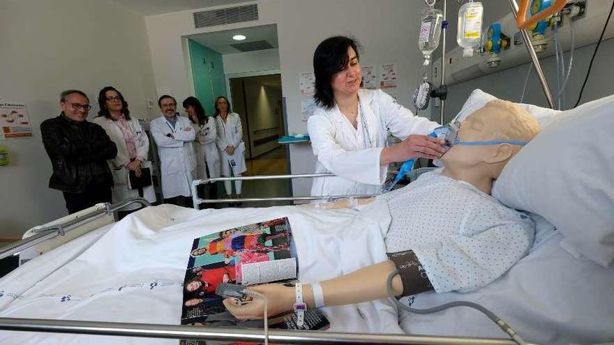 La enfermera María José Zapico, atendiendo a &quot;Cosme&quot; en la sala de entrenamiento.