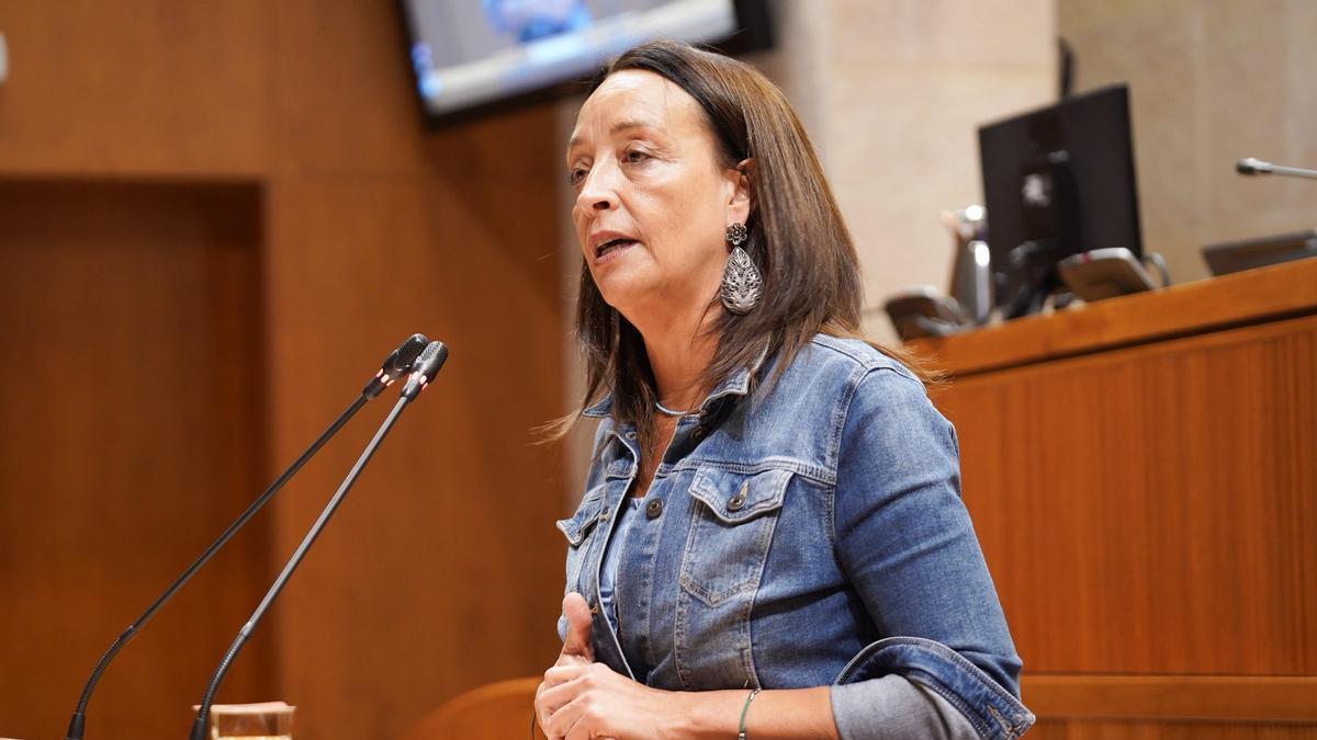 La consejera de Educación del Gobierno de Aragón, Carmen Susín, en la tribuna de las Cortes de Aragón.