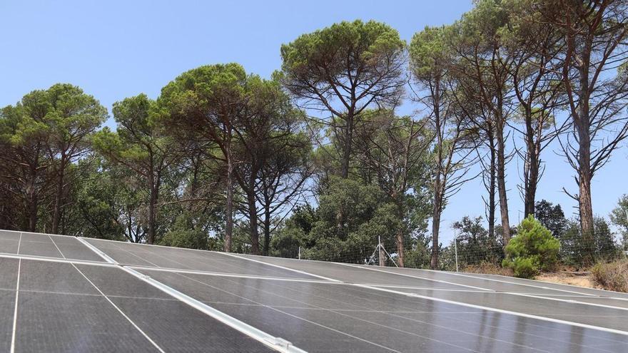 Territori impulsa "el camí català" de les energies renovables amb mesures per preservar la biodiversitat