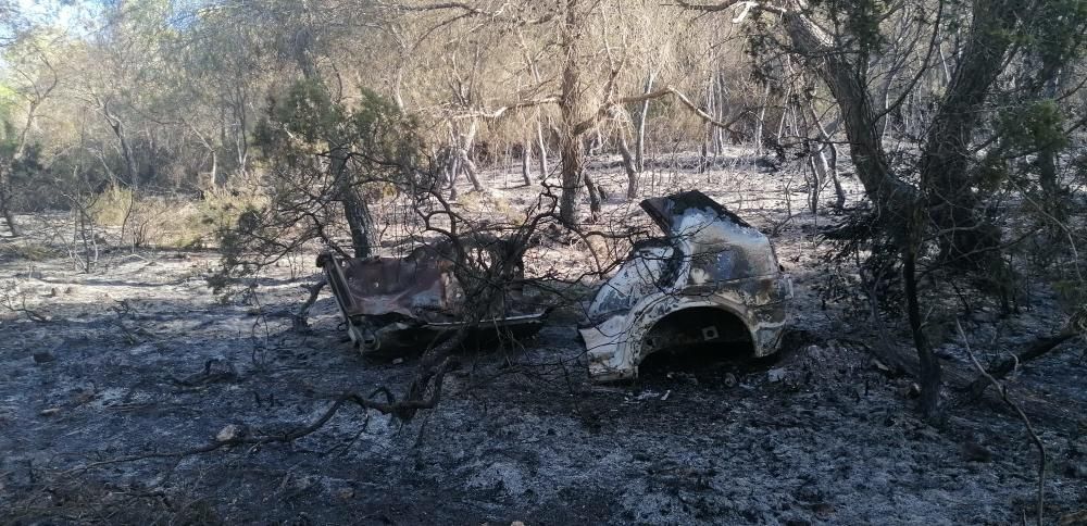 Labores de extinción esta mañana