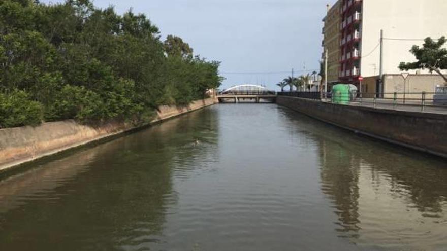 Nules investiga la aparición de decenas de peces muertos en el canal de la Gola