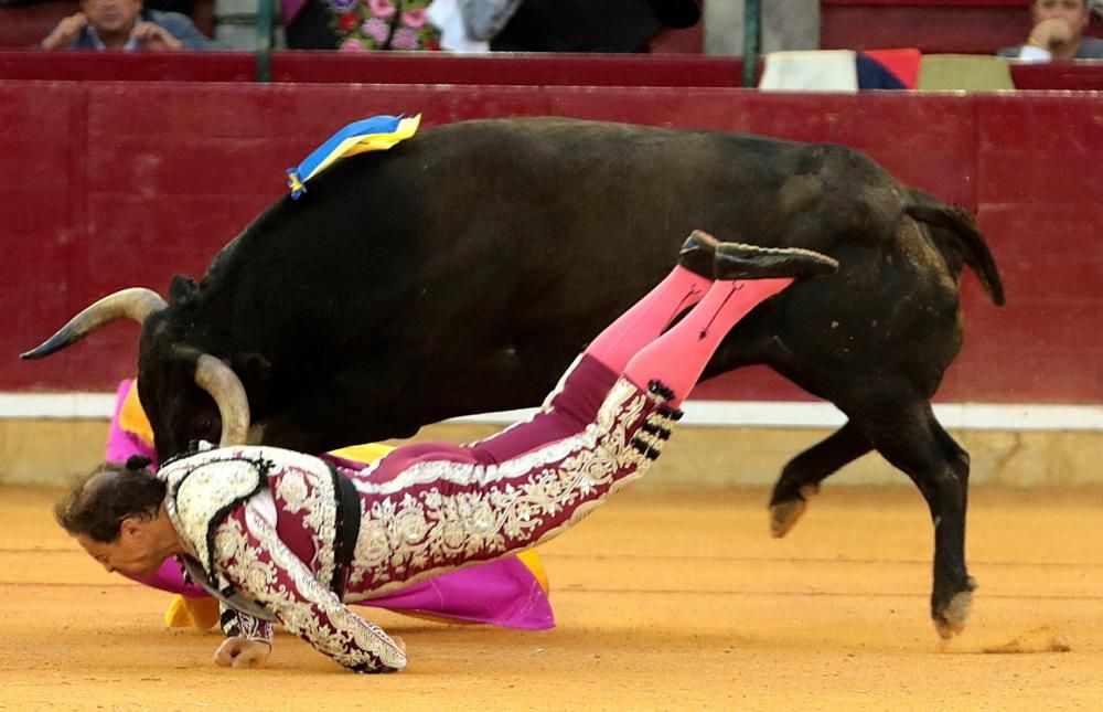 El banderillero Mariano de la Viña sufre una grave cornada en Zaragoza.