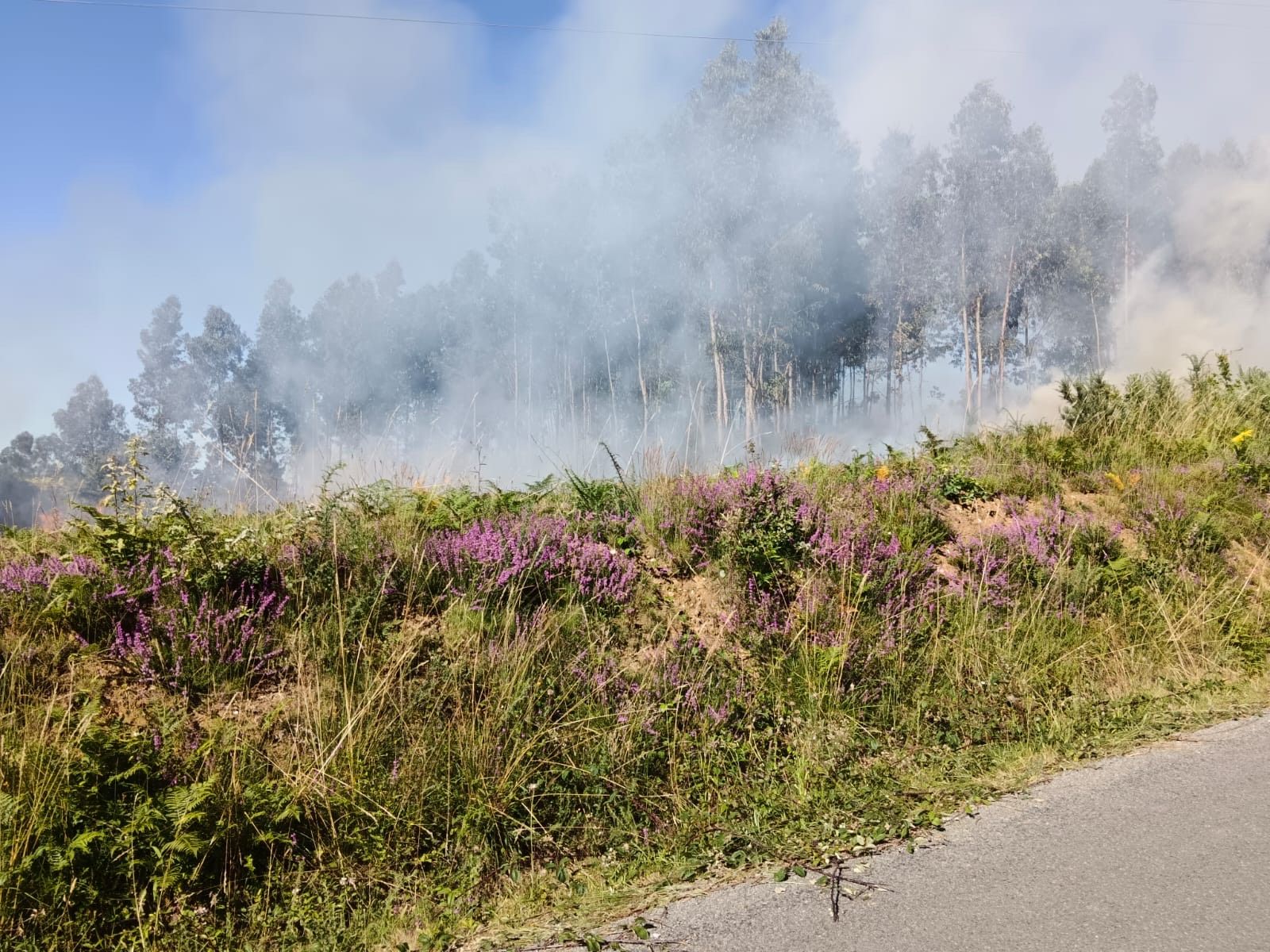 Incendio forestal en Bergondo