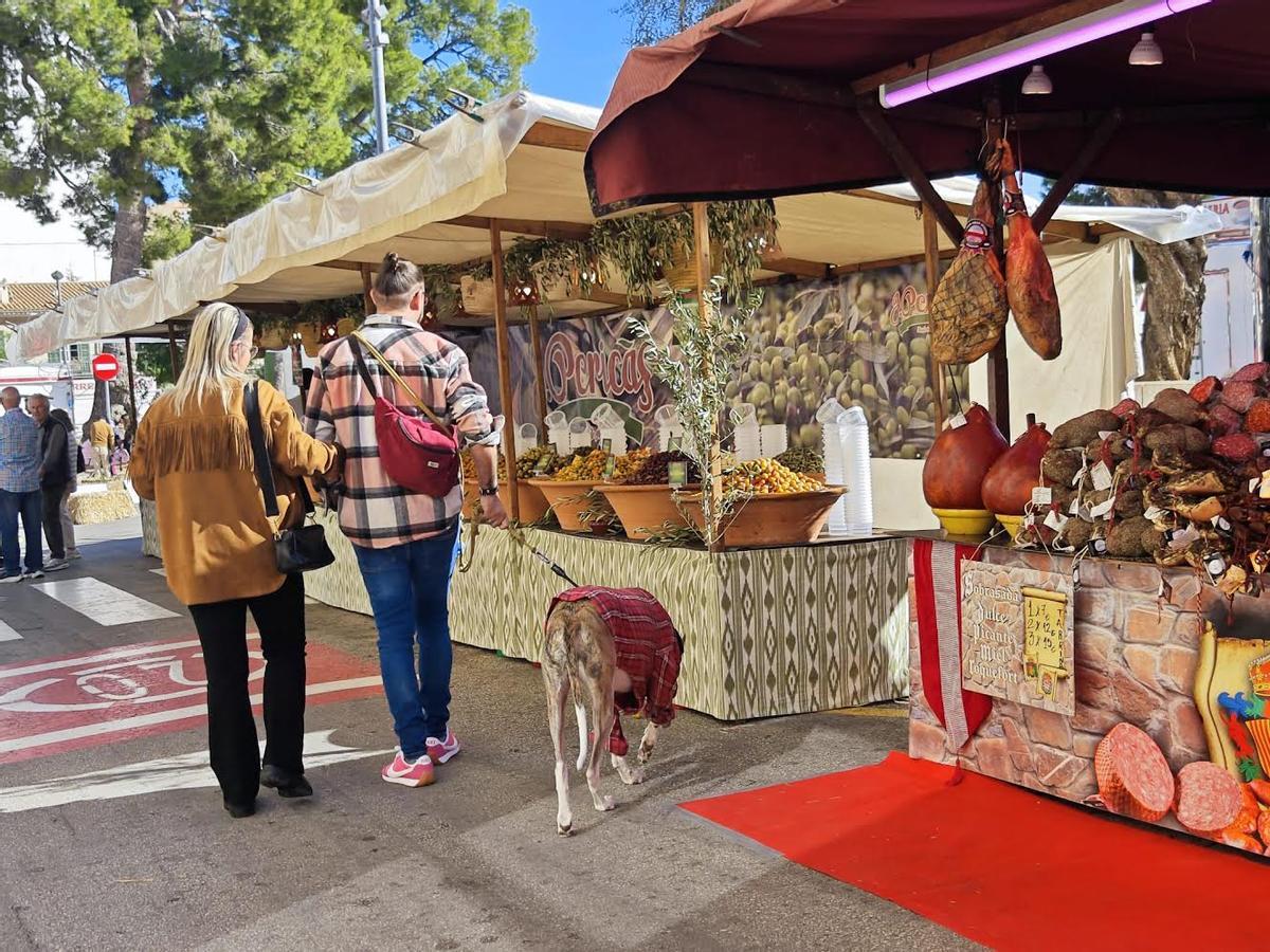 Un perro con camisa en el Dijous Bo