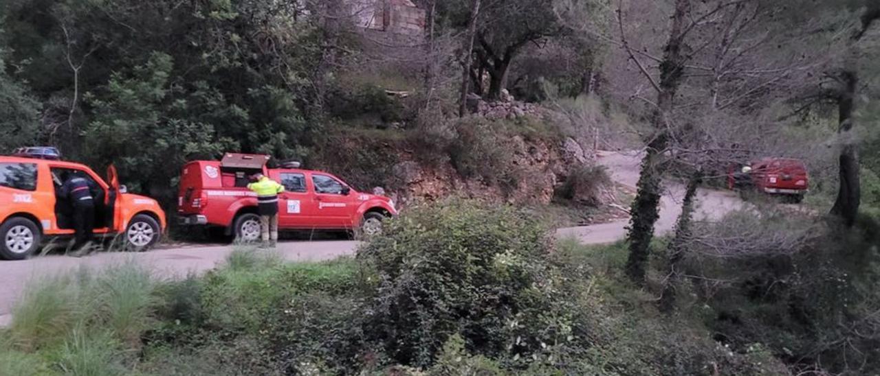 Miembros del dispositivo de búsqueda en Villalonga.                     levante-emv