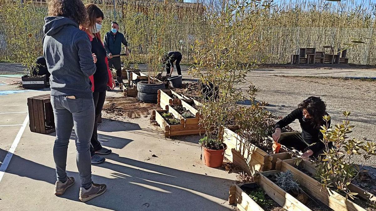 Destrosses al pati d&#039;una escola de Figueres