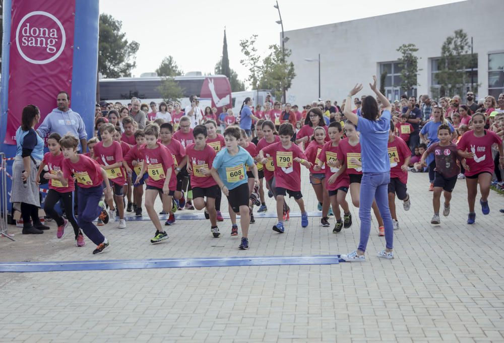 Carrera solidaria por la donación de sangre en la UIB