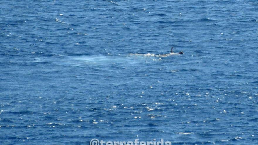 El hombre, tras lanzarse al mar desde del helicóptero.