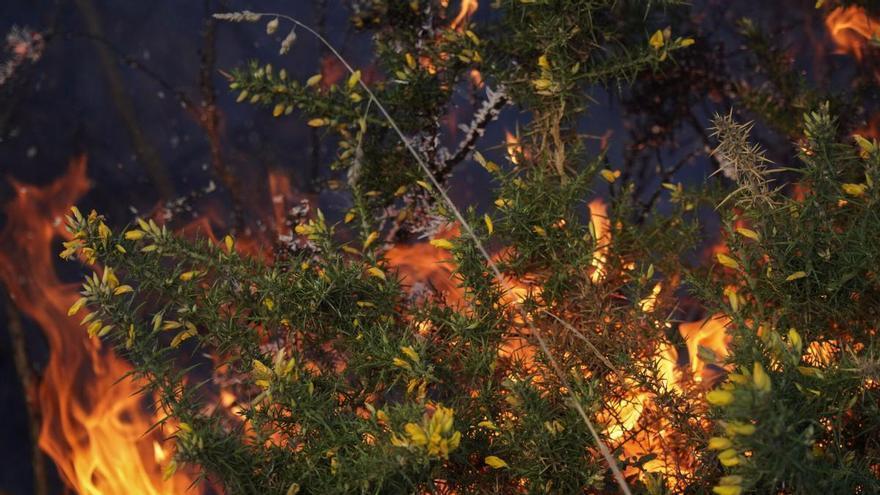 Susto al reiniciarse el incendio de Bens que obligó a desalojar a vecinos