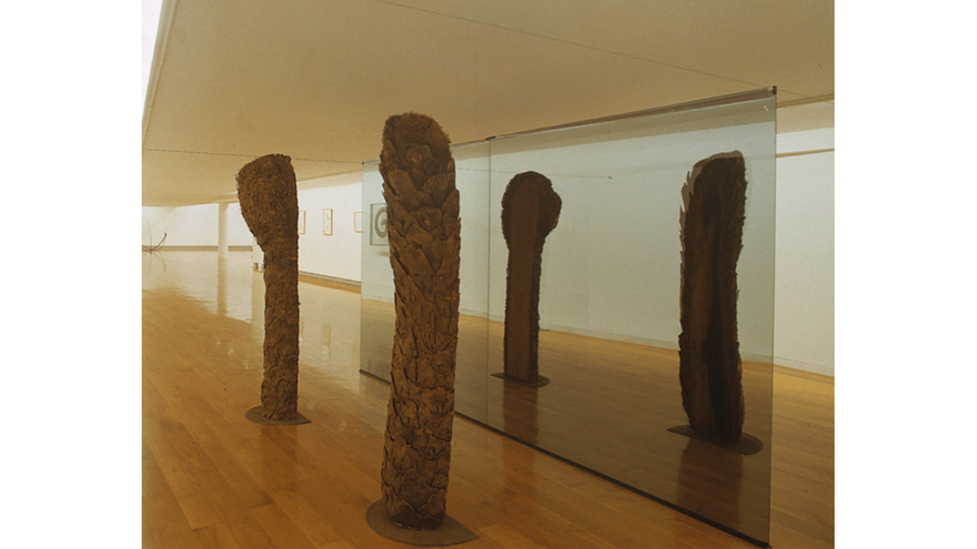 Traballo en equipo. Unha historia posible do CGAC