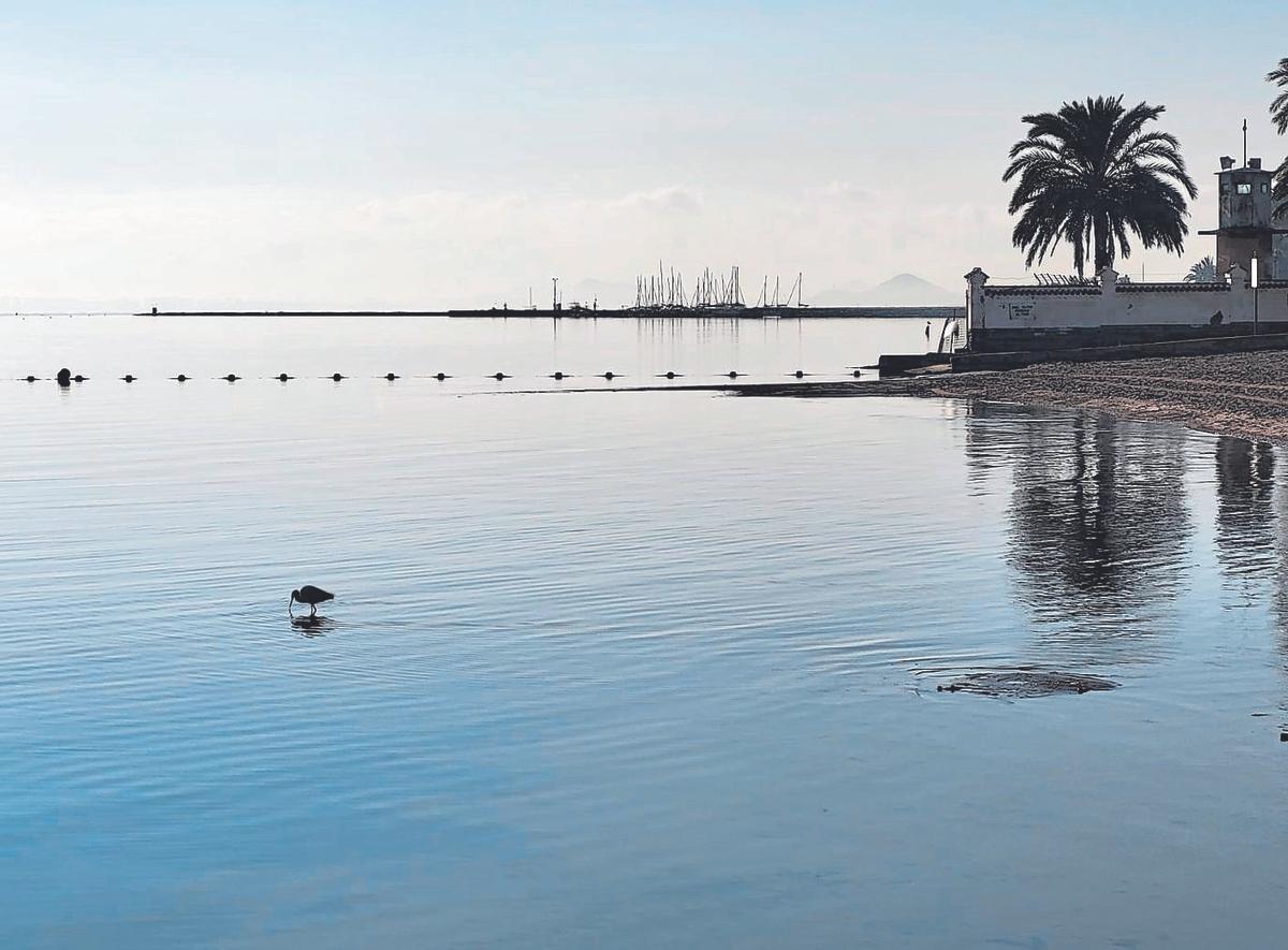 Pasnorámica del Mar Menor en la zona de Los Urrutias.