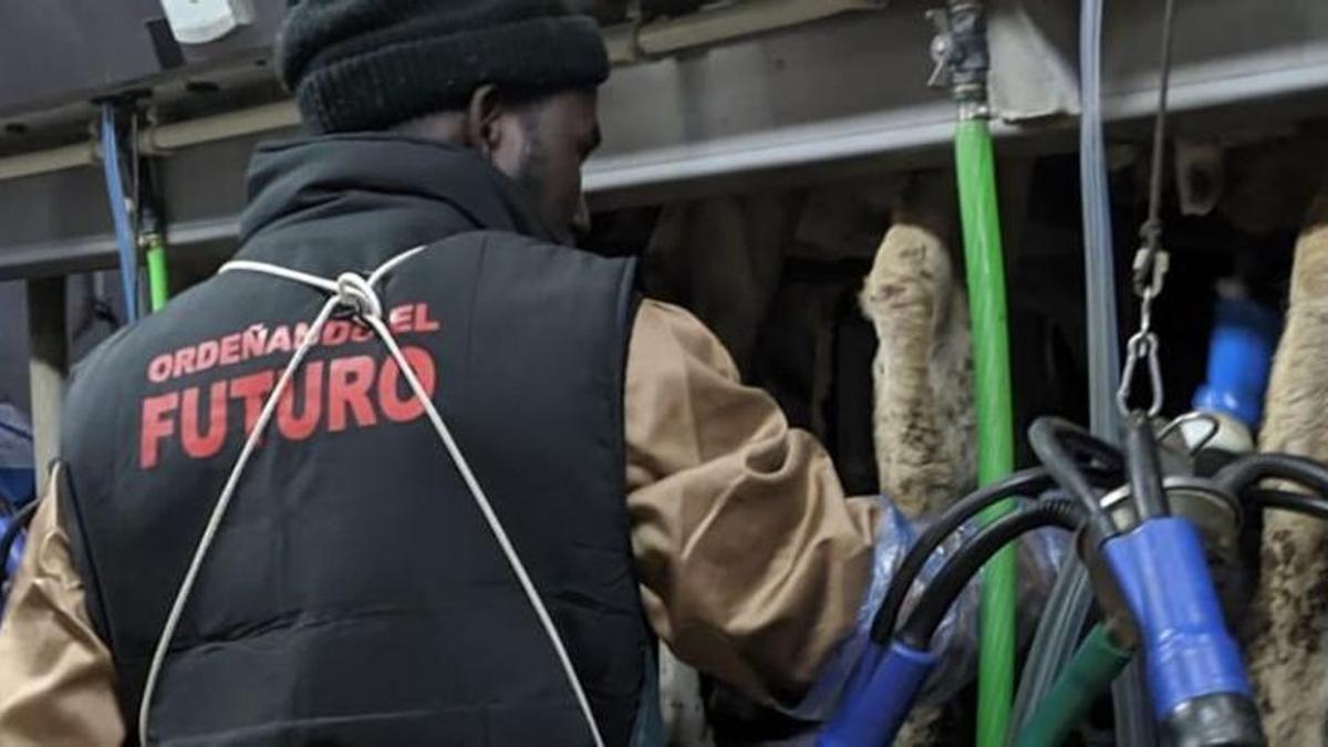 La cooperativa ganadera COVAP, con sede en Córdoba, forma a personas migrantes para trabajar en las granjas socias