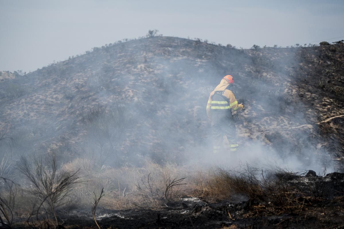 Fotogalería | Así ha sido el incendio forestal en Garrovillas de Alconetar