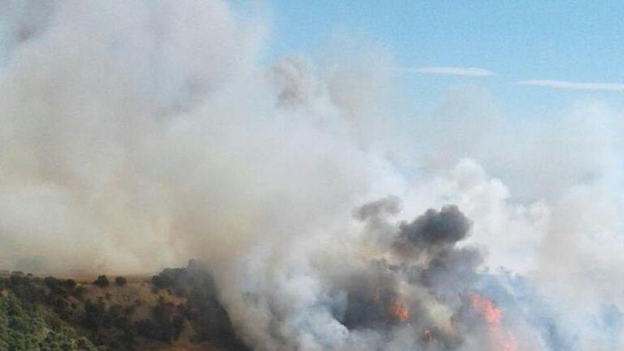 Un incendio quema unas 50 hectáreas de pinar y cultivos en el municipo de Sábada