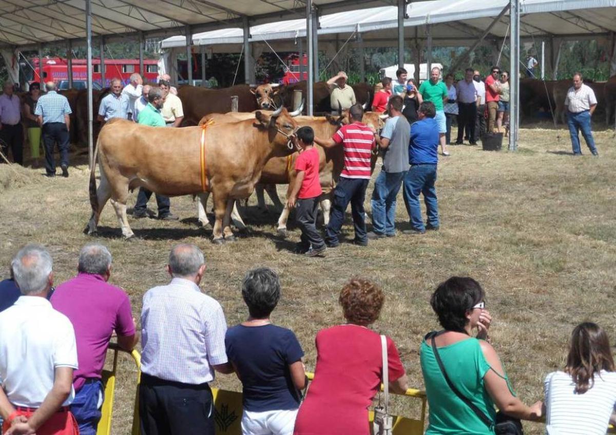 A Santarúa se lleva hasta la pota