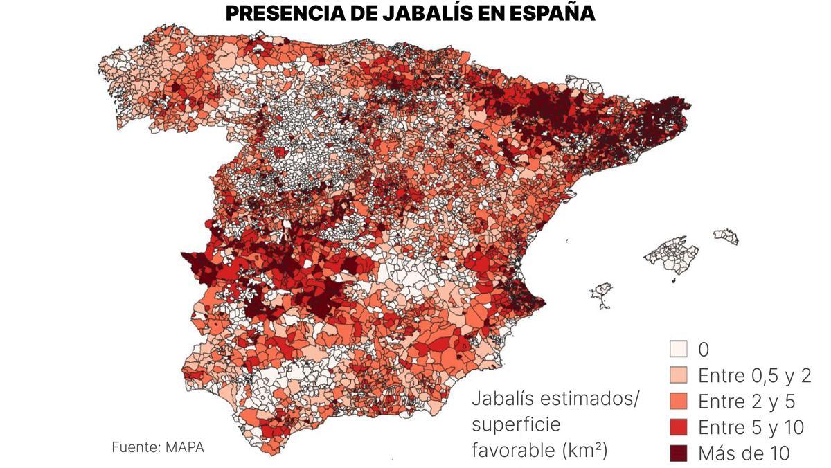 Mapa del Ministerio de Agricultura que describe la presencia de jabalís en España